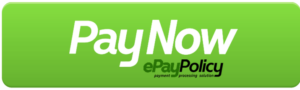 pay-now-button-epay